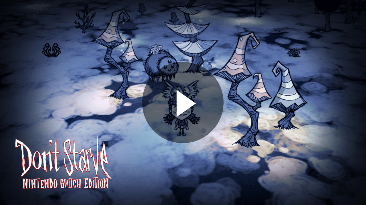 Don’t Starve: Nintendo Switch Edition Trailer Poster
